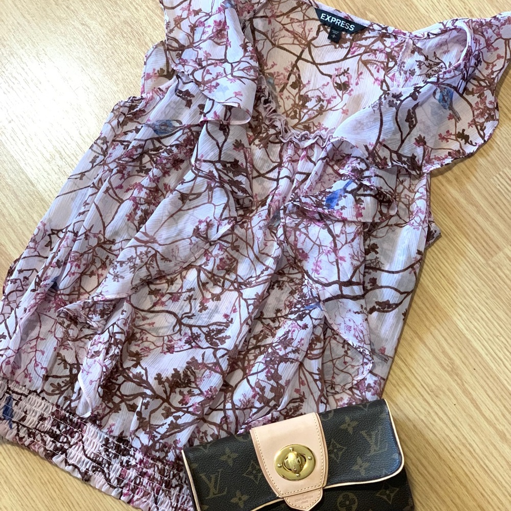 Express sheer blouse